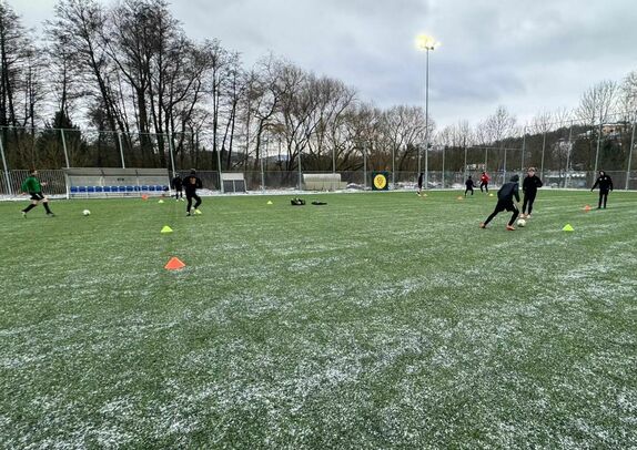 2026-02-15-dorost 10