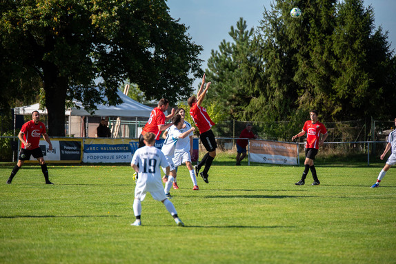 2026-09-20-provodov 7