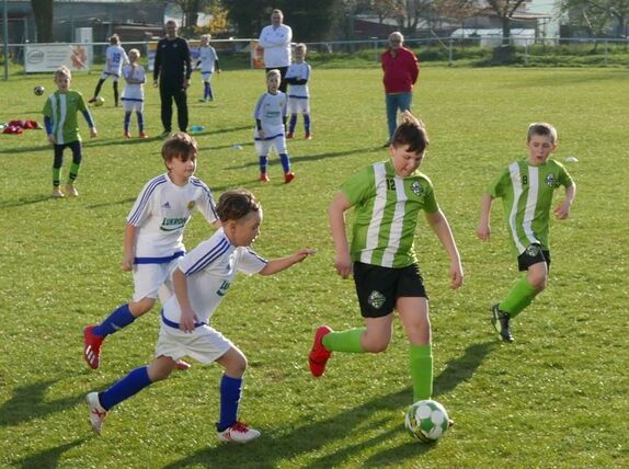 2019-04-16-pripravky 5