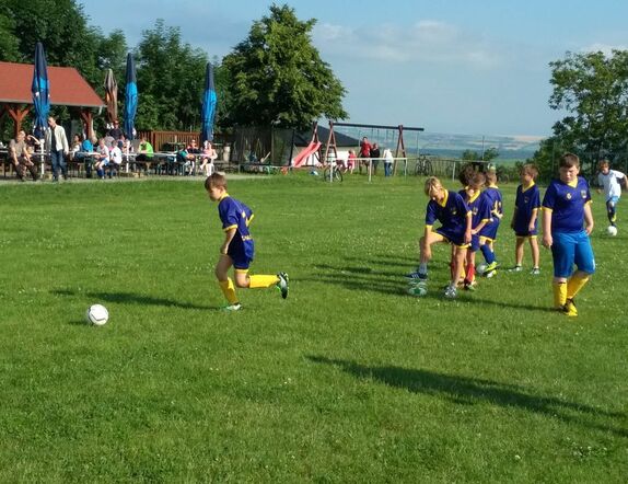 2020-06-17-zaci-tlumacov 1