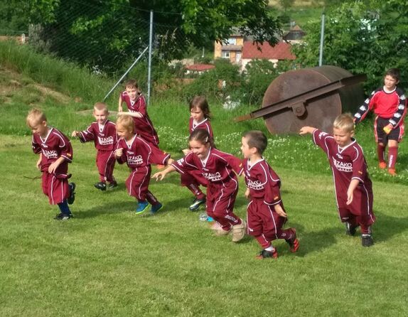 2020-06-24-provodov-pripravky 6