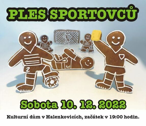 2022-11-ples-pozvanka 2